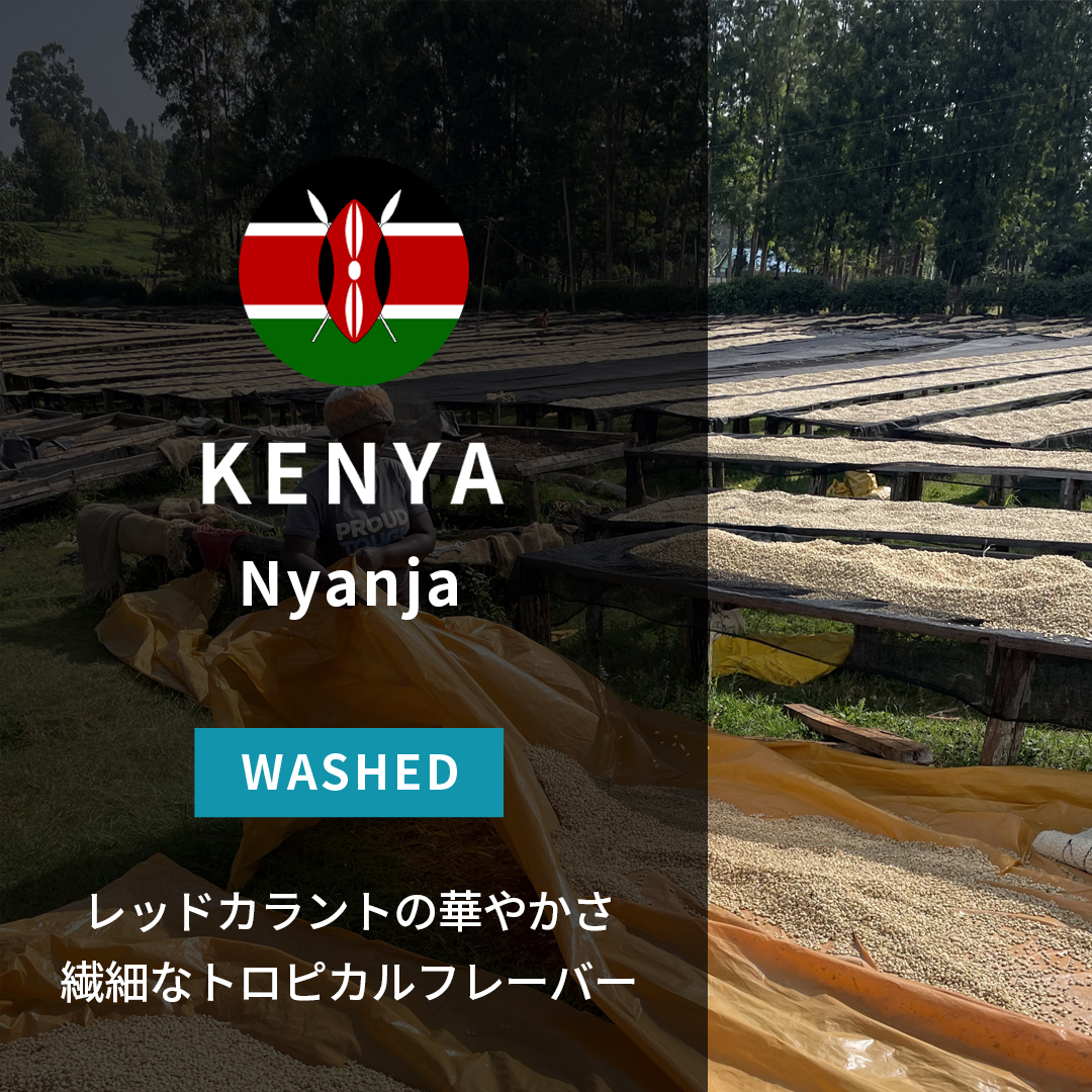 Kenya Nyanja Washed(24/25年クロップ) | ORIGIN COUNTRIES for Small